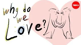 Why do we love? A philosophical inquiry - Skye C. Cleary
