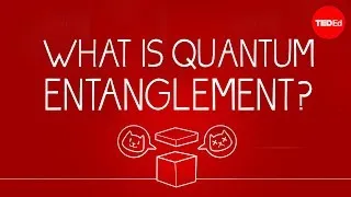 What can Schrödinger's cat teach us about quantum mechanics? - Josh Samani