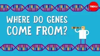 Where do genes come from? - Carl Zimmer