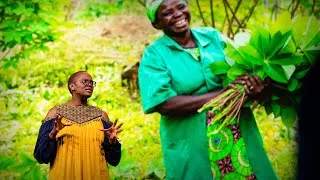 The Tree-Growing Movement Restoring Africa’s Vital Landscapes | Wanjira Mathai | TED