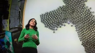 What intelligent machines can learn from a school of fish | Radhika Nagpal