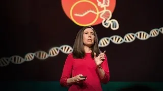 What you need to know about CRISPR | Ellen Jorgensen
