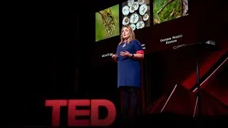 How we're using DNA tech to help farmers fight crop diseases | Laura Boykin