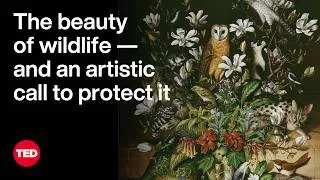 The Beauty of Wildlife — and an Artistic Call to Protect It | Isabella Kirkland | TED