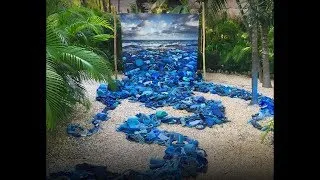 How I use art to tackle plastic pollution in our oceans | Alejandro Durán