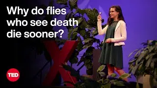 The Science of Lifespan — and the Impact of Your Five Senses | Christi Gendron | TED