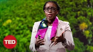 The African Swamp Protecting Earth's Environment | Vera Songwe | TED