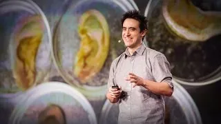 This scientist makes ears out of apples | Andrew Pelling
