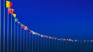 How flags unite (and divide) us | Michael Green