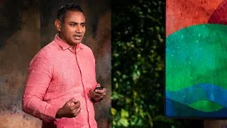 Mangroves, Storm Walls and Other Ways to Protect Coasts from Climate Change | Dave Sivaprasad | TED
