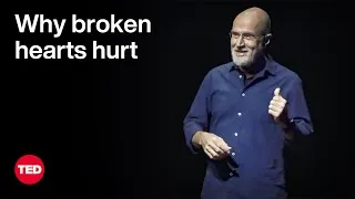 Why Broken Hearts Hurt — and What Heals Them | Yoram Yovell | TED