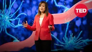Could We Treat Alzheimer's with Light and Sound? | Li-Huei Tsai | TED