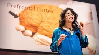 Wendy Suzuki: The brain-changing benefits of exercise | TED