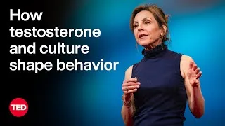 How Testosterone and Culture Shape Behavior | Carole K. Hooven | TED