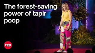 How Poop Turns Into Forests | Ludmila Rattis | TED