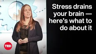 How Stress Drains Your Brain — and What To Do About It | Nicole Byers | TED