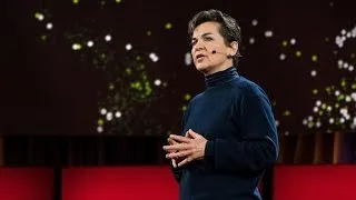 The inside story of the Paris climate agreement | Christiana Figueres