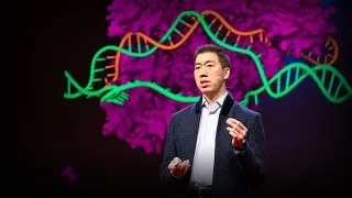 Can we cure genetic diseases by rewriting DNA? | David R. Liu