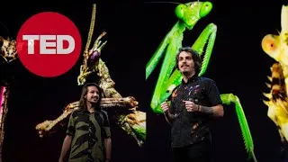 The Colorful, Shapeshifting Wonder of the Amazon's Praying Mantises | Leo Lanna and Lvcas Fiat | TED