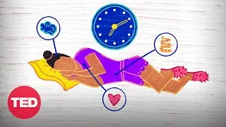 How daylight saving time affects our bodies, minds -- and world | Sleeping with Science