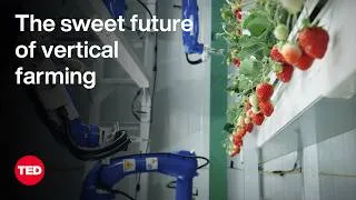 The Sweet Future of Vertical Farming | Hiroki Koga | TED