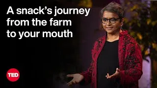 A Snack’s Journey from the Farm to Your Mouth | Aruna Rangachar Pohl | TED