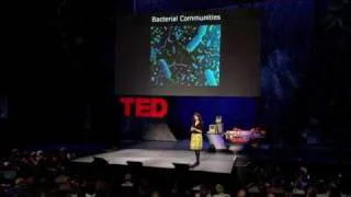 Bonnie Bassler: The secret, social lives of bacteria
