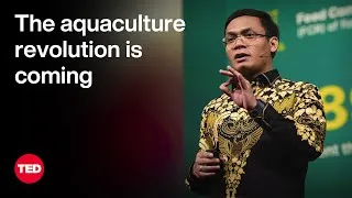 The Aquaculture Revolution Is Coming | Gibran Huzaifah | TED