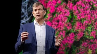 A New Economic Model For Protecting Tropical Forests  | Nat Keohane | TED