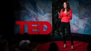 3 Ways Your Money Can Fight Climate Change | Veronica Chau | TED