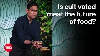Is Cultivated Meat the Future of Food? | Uma Valeti | TED