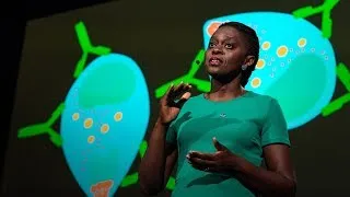 The key to a better malaria vaccine | Faith Osier