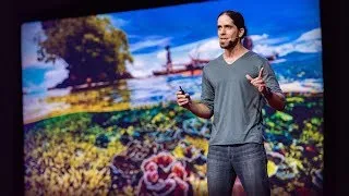 Could fish social networks help us save coral reefs? | Mike Gil