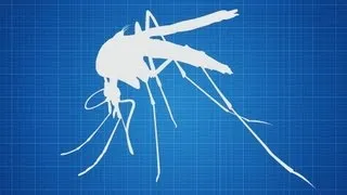 Hadyn Parry: Re-engineering mosquitos to fight disease