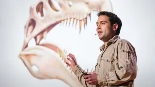 Nizar Ibrahim: How we unearthed the spinosaurus