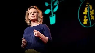 The next software revolution: programming biological cells | Sara-Jane Dunn