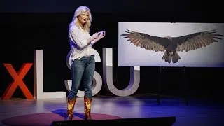 How vultures can help solve crimes | Lauren Pharr