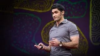 What happens in your brain when you pay attention? | Mehdi Ordikhani-Seyedlar