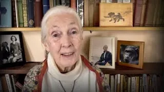 Every day you live, you impact the planet | Jane Goodall