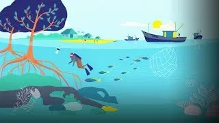 An ingenious proposal for scaling up marine protection | The Nature Conservancy