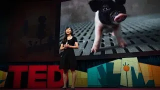 How to create a world where no one dies waiting for a transplant | Luhan Yang