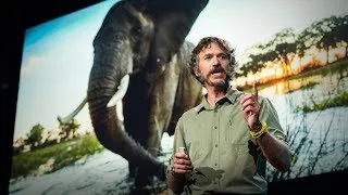 How we're saving one of Earth's last wild places | Steve Boyes
