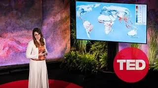 The Blind Spots of the Green Energy Transition | Olivia Lazard | TED