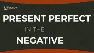 Present Perfect Examples in the Negative Form (English Grammar)