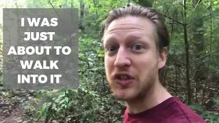 VLOG: GO FOR A HIKE  | LEARN EVERYDAY ENGLISH - WITH SUBTITLES AND PHRASES)