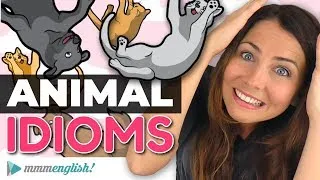 How To Use English Animal IDIOMS! 🐶🐱🐟